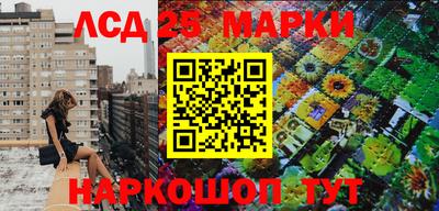 ПСИЛОЦИБИНОВЫЕ ГРИБЫ Краснодар