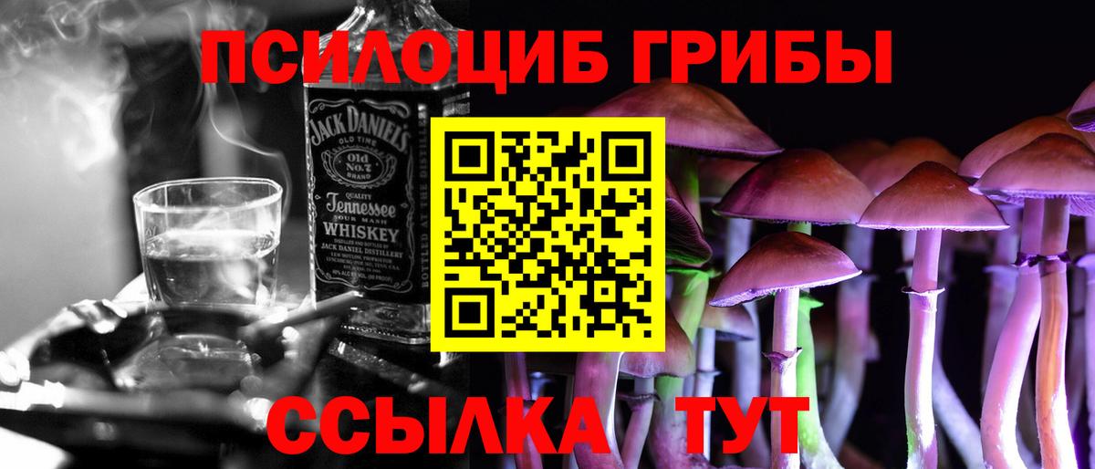 Галлюциногенные грибы Cubensis  Вход с VPN  Каменск-Уральский 