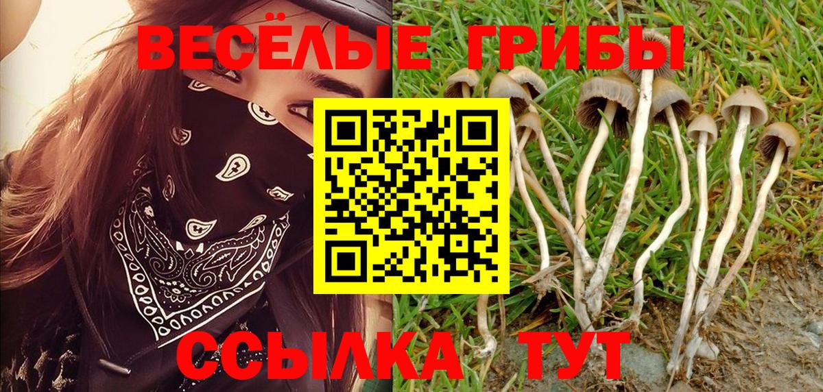 Псилоцибиновые грибы Psilocybine cubensis Каменск-Уральский